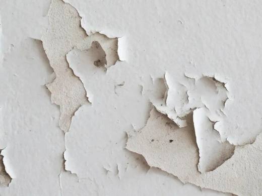 Paint film cracking and flaking away from a rendered wall