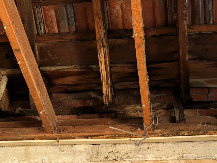 Heritage timber roof structure assessed for termite damage and decay